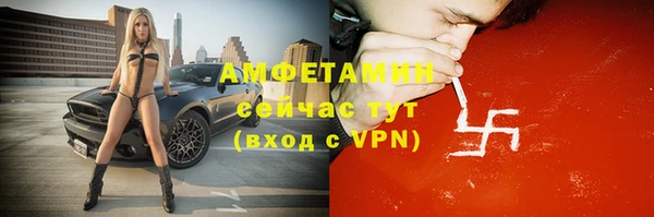 спиды Богородицк