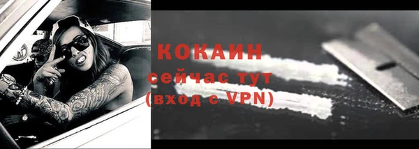спиды Богородицк