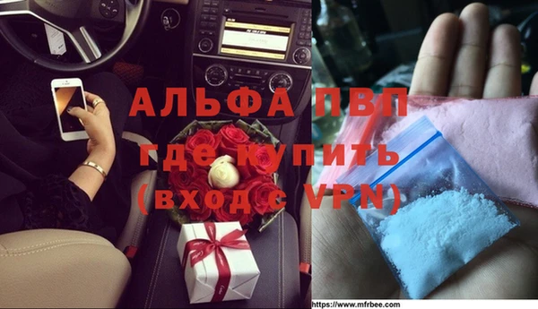 спиды Богородицк