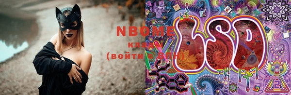 спиды Богородицк