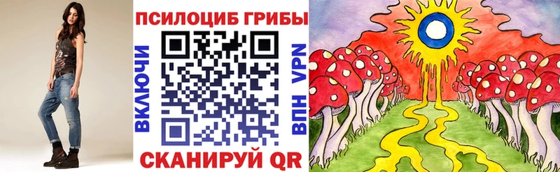 Псилоцибиновые грибы мицелий  Южно-Сухокумск 