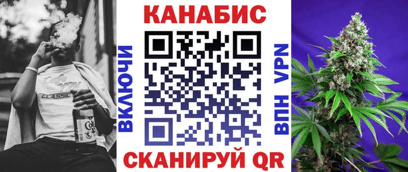 закладка  Южно-Сухокумск  Конопля Ganja 